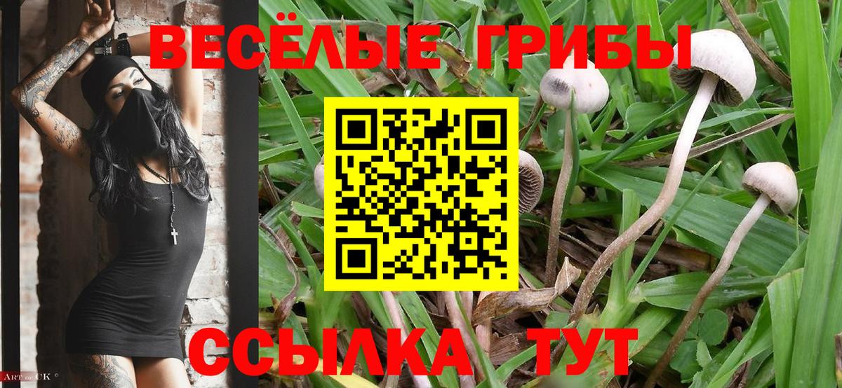 Галлюциногенные грибы мухоморы Пыть-Ях
