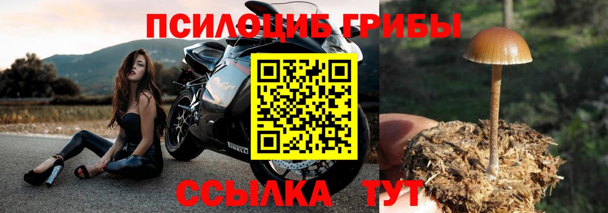 что такое наркотик  Галлюциногенные грибы GOLDEN TEACHER  Галлюциногенные грибы ЛСД  Вход с VPN  Пыть-Ях 